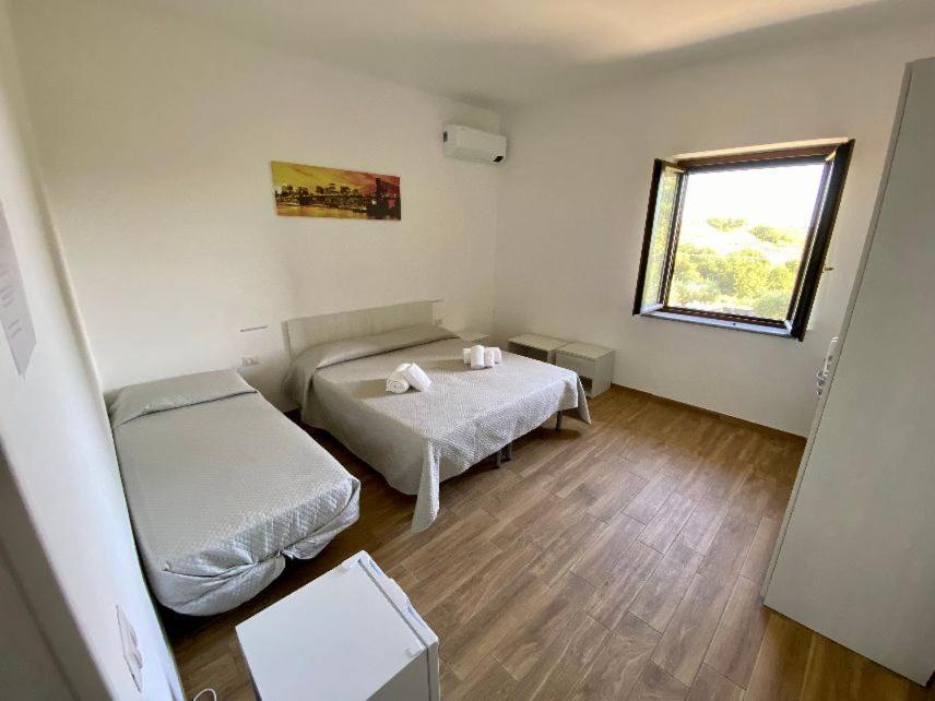 La Conchiglia Bed And Breakfast San Nicola Arcella Eksteriør bilde